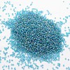 8/0 Round Glass Seed Beads SEED-J011-F8-179-2