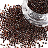 11/0 FGB Grade A Round Glass Seed Beads SEED-N001-D-224-1