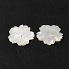 Natural White Shell Beads SHEL-M021-08A-3