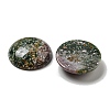Natural Indian Agate Cabochons G-C115-02B-09-2
