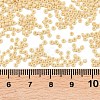 MIYUKI Round Rocailles Beads X-SEED-G007-RR0493-3