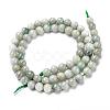 Natural Jadeite Beads Strands G-L568-001D-3