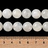 Natural Rainbow Moonstone Beads Strands G-D107-01A-5