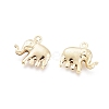 304 Stainless Steel Charms X-STAS-H413-13G-2