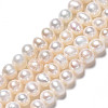 Natural Cultured Freshwater Pearl Beads Strands PEAR-N013-05C-3