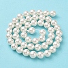 Shell Pearl Bead Strands X-BSHE-L026-03-8mm-4