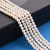 Natural Cultured Freshwater Pearl Beads Strands PEAR-R063-07A-5