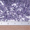 MIYUKI Delica Beads SEED-X0054-DB0250-4