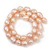 Natural Cultured Freshwater Pearl Beads Strands PEAR-P064-20L-04B-3