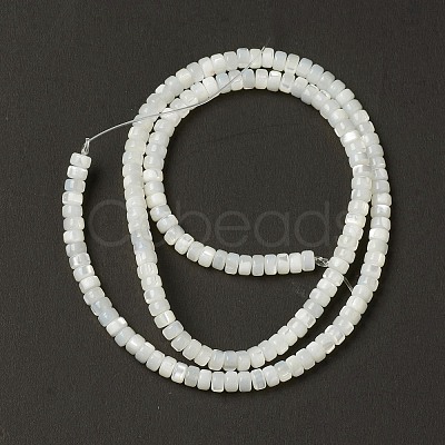 Natural Trochid Shell/Trochus Shell Beads BSHE-B005-12-1