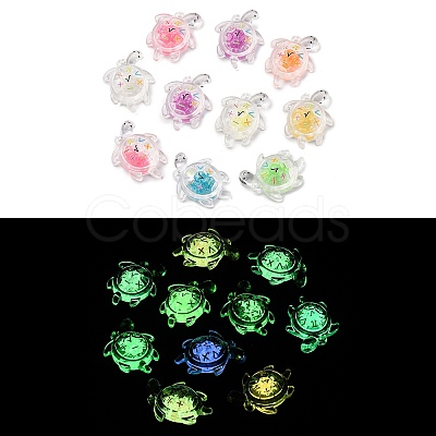 Luminous Transparent Acrylic Pendants TACR-P010-02-1