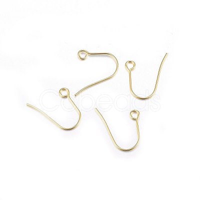 304 Stainless Steel Earring Hooks X-STAS-P210-21G-1