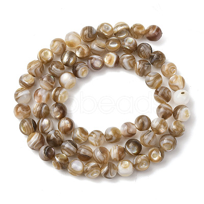 Natural Freshwater Shell Beads Strands SHEL-K006-71A-1