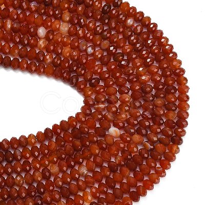 Natural Red Agate Beads Strands G-C280-A12-02-1