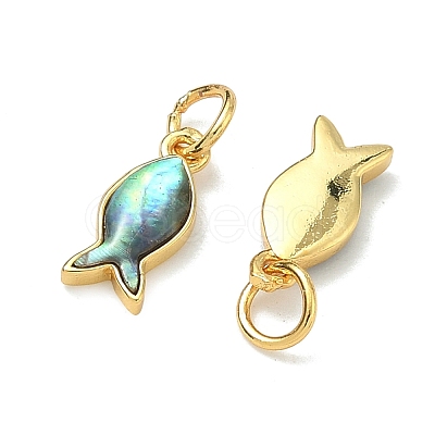 Natural Paua Shell Fish Charms KK-F926-04A-1