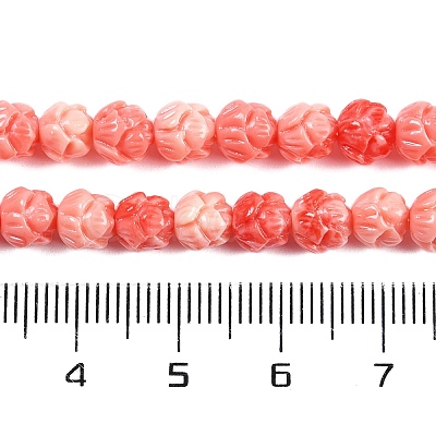 Synthetic Shell Dyed Carved Beads Strands SHEL-C008-01-1