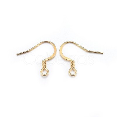 304 Stainless Steel French Earring Hooks X-STAS-P210-24G-1