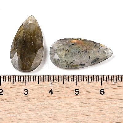 Natural Labradorite Pendants G-M440-01F-1