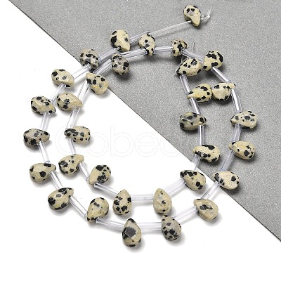 Natural Dalmatian Jasper Beads Strands G-Q167-A20-02-1