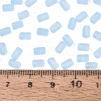 FGB Frosted Transparent Glass Seed Beads SEED-N013-05A-11-1