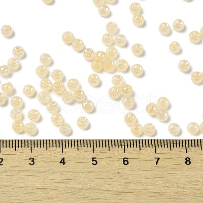 Glass Seed Beads SEED-H002-H-1308-1