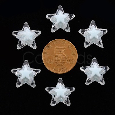 Transparent Acrylic Beads TACR-S152-11A-10-1
