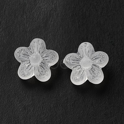 Transparent Acrylic Beads LS-OACR-L013-006-1