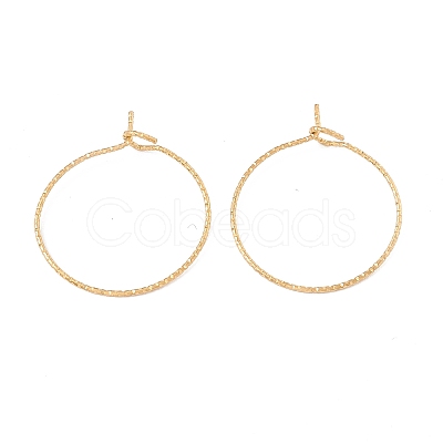Ion Plating(IP) 316 Surgical Stainless Steel Hoop Earrings Findings X-STAS-D183-02G-01-1
