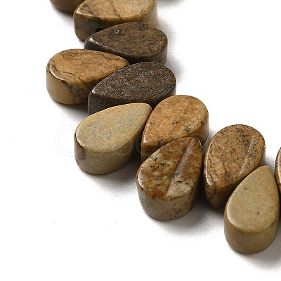 Natural Picture Jasper Beads Strands G-B064-B02-1