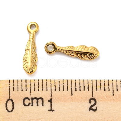 304 Stainless Steel Charms STAS-Z047-03G-1