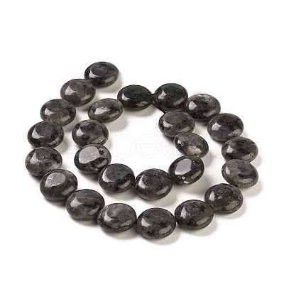 Natural Larvikite Beads Strands G-M403-C09-02-1