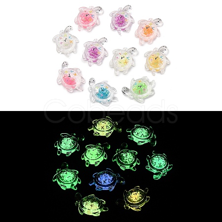 Luminous Transparent Acrylic Pendants TACR-P010-02-1
