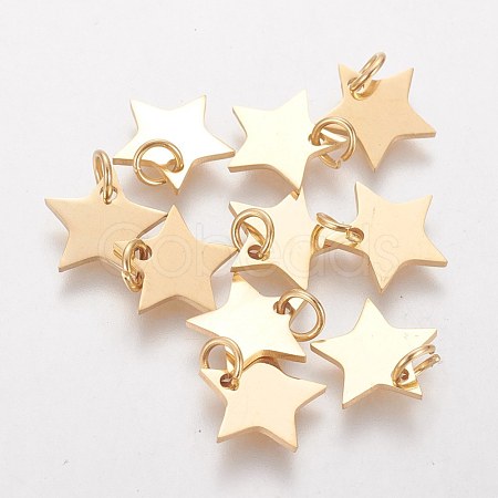 Ion Plating(IP) 304 Stainless Steel Charms STAS-Q201-T461G-1