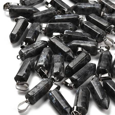 Natural Labradorite Pendants G-Z067-07P-24-1
