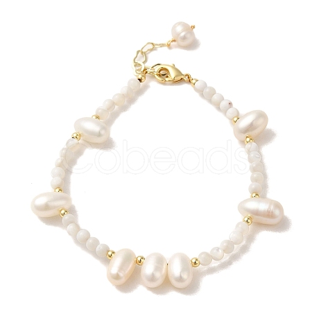 Natural Pearl & Shell Beaded Bracelets BJEW-C051-19G-1
