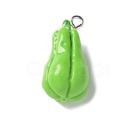 Resin Iron Pendants RESI-D280-15-1