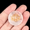 Symbol Natural Quartz Crystal Flat Round Palm Stones, Crystal Pocket Stone for Reiki Balancing Meditation Home Decoration, 25mm