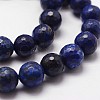 Natural Lapis Lazuli Beads Strands G-D840-38-6mm-4