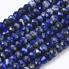 Natural Lapis Lazuli Beads Strands G-R462-020-1