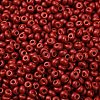 8/0 Baking Paint Glass Seed Beads SEED-M012-02A-43-3