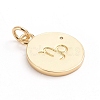 Brass Micro Pave Cubic Zirconia Pendants ZIRC-E164-34I-G-2