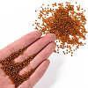 11/0 Silver Lined Grade A Transparent Glass Seed Beads X-SEED-Q007-F54-4