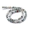 Natural Tree Agate Bead Strands G-R411-25-4mm-2