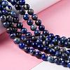 Natural Lapis Lazuli Beads Strands G-G099-8mm-7B-4