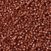 MIYUKI Delica Beads SEED-J020-DB2178-2