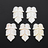 Natural Freshwater Shell Beads SHEL-S276-156-1