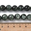 Natural Seraphinite Beads Strands G-C270-O01-11-5