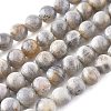 Natural Labradorite Beads Strands G-G212-8mm-23-7