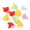 Transparent Acrylic Beads BSF796M-4