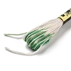 10 Skeins 6-Ply Polyester Embroidery Floss OCOR-K006-A65-2